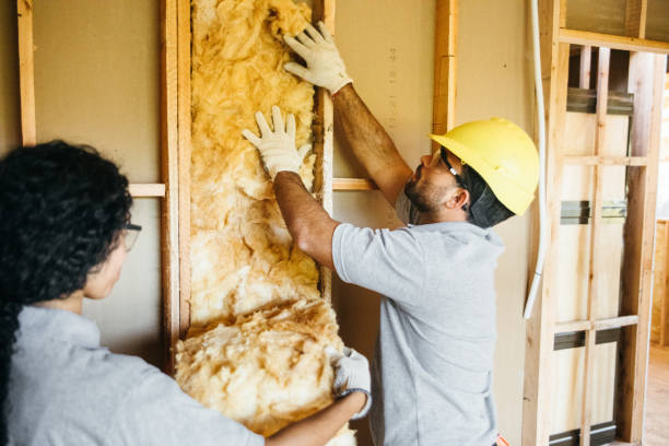 Insulation Repair Services in Edmond, OK